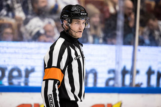 Domare Daniel Eriksson