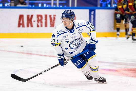 Leksands Erik Hedlund