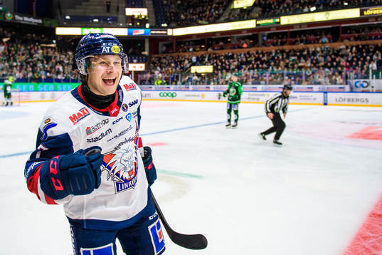 Linköpings Jesper Pettersson jublar