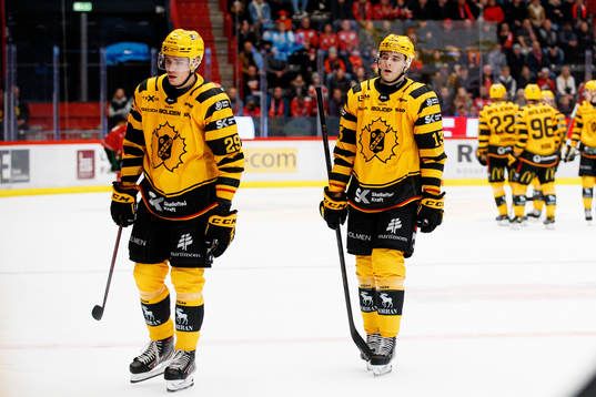 Skellefteås Albin Sundsvik och Stefan Loibl  deppar
