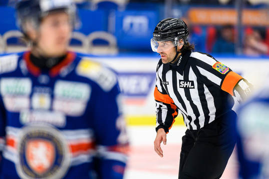 Domare Mikael Sjöqvist