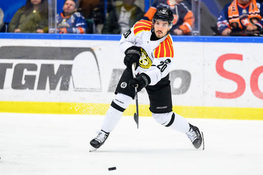 Brynäs Oula Palve