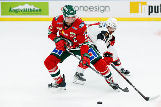 Frölundas Joel Lundqvist och Malmö Redhawks Markus