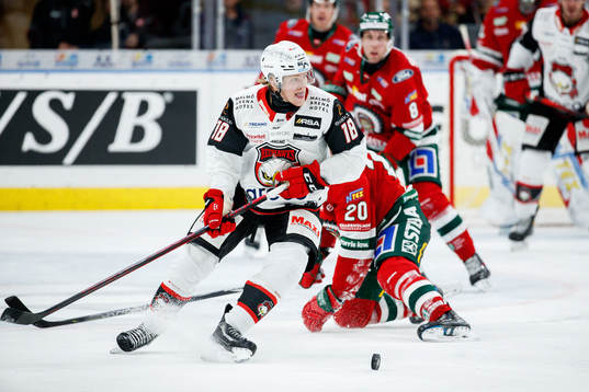 Malmö Redhawks Marcus Sylvegård