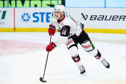 Malmö Redhawks Carl-Johan Lerby