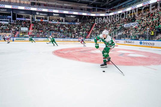 Rögles Oskar Hassel