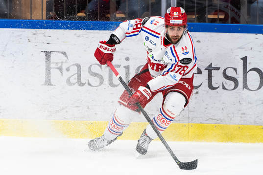 Timrås Robin Hanzl