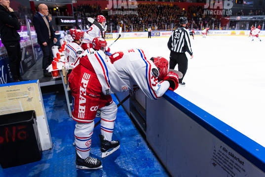 Timrås Ty Rattie deppar