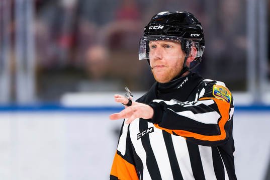 Domare Mikael Holm