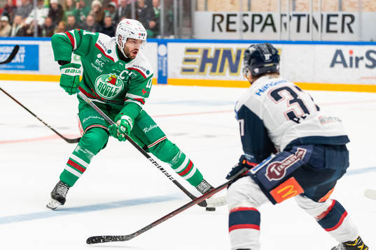 Rögles Mattias Sjögren