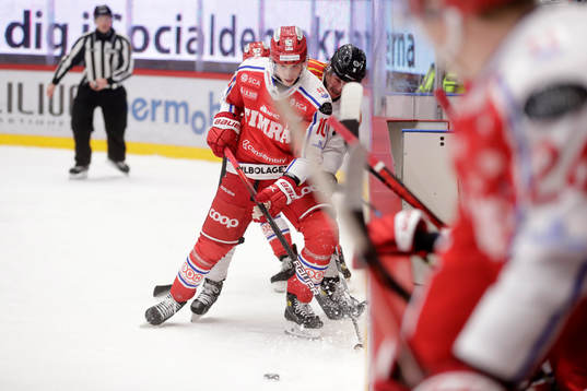 Timrås Robin Alvarez
