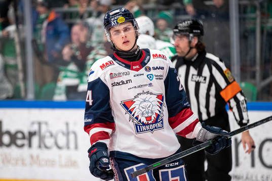 Linköpings Elliot Ekmark deppar