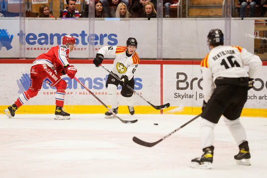 Timrås Robin Alvarez och Brynäs Tom Hedberg
