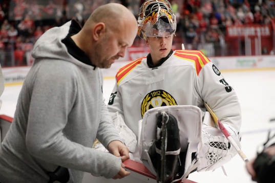Brynäs Veini Vehviläinen