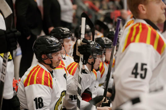 Brynäs Anton Rödin deppar