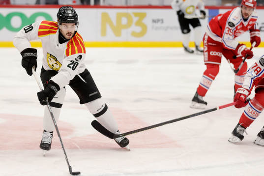 Brynäs Oula Palve