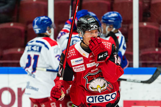 Malmö Redhawks Carl-Johan Lerby deppar