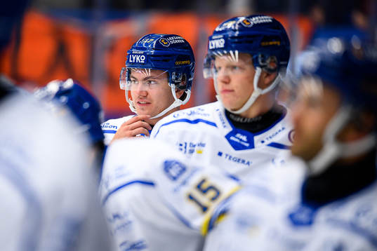 Leksands Erik Hedlund