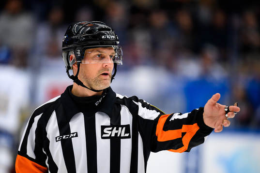 Domare Mikael Nord