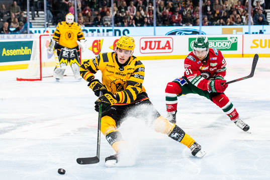 Skellefteås Adam Wilsby och Frölundas Ryan Lasch