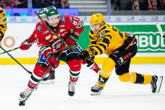Frölundas Ryan Lasch och Skellefteås Jonathan Johnson