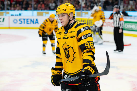 Skellefteås Rickard Hugg