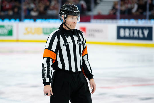 Domare Tobias Björk