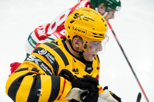 Skellefteås Stefan Loibl