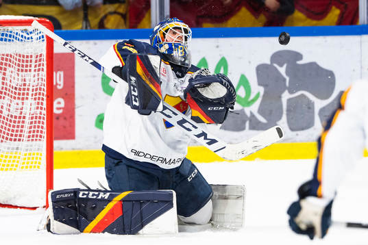 Djurgårdens målvakt Niklas Svedberg
