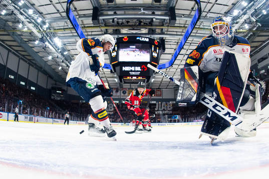 Djurgårdens målvakt Niklas Svedberg