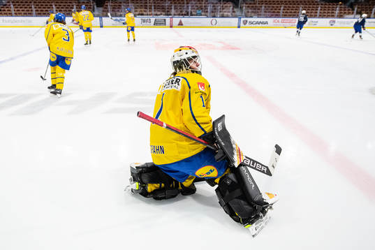 goalkeeper Sara Grahn of Sweden