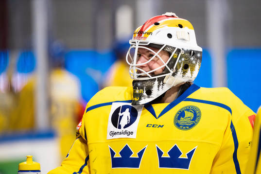 goalkeeper Sara Grahn of Sweden