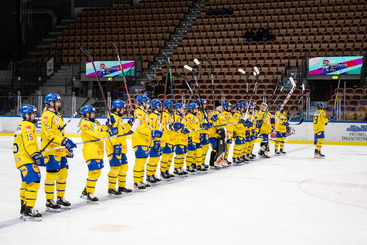 Players of Sweden