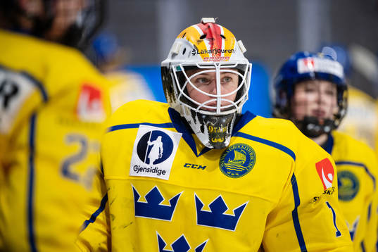 goalkeeper Sara Grahn of Sweden
