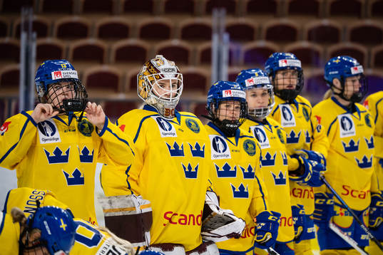 Players of Sweden