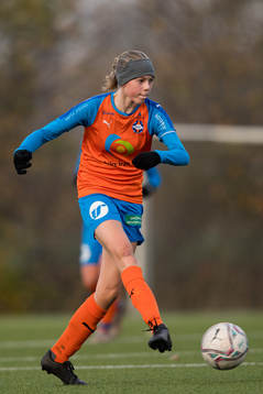 Vejbys Almi Palmer