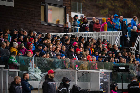 Spectators in the stands
