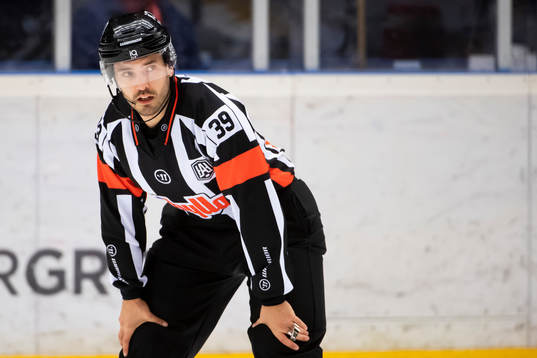 Domare Mattias Enroth