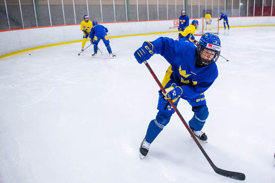 Linnea Hedin