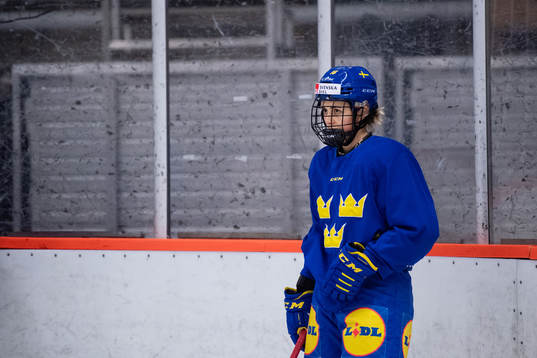 Linnea Johansson