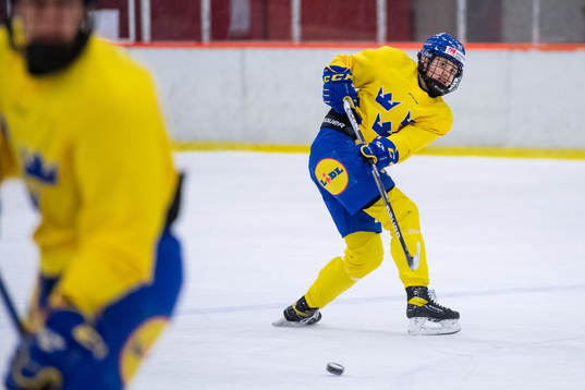 Josefin Bouveng