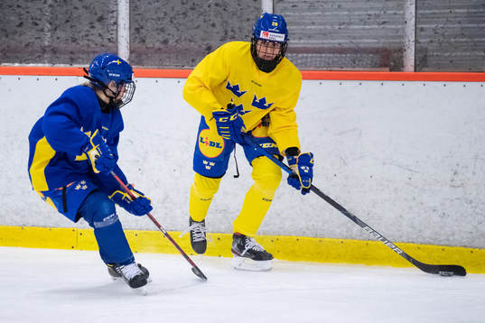 Hanna Olsson