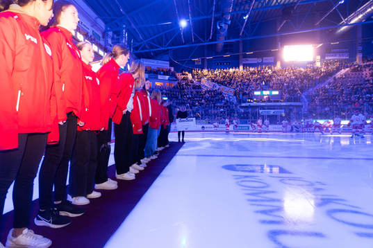 Smålands Ishockeyförbunds damsatsning tilldelas en