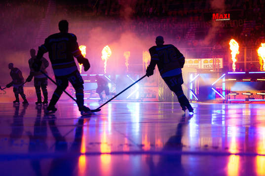 Spelare ur HV71