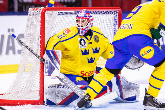 Sveriges målvakt Lars Johansson