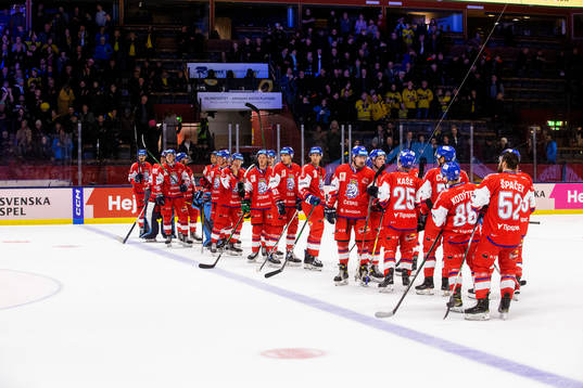 Tjeckiens spelare