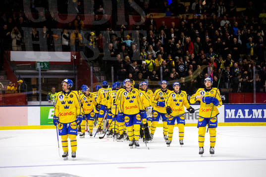 Sveriges spelare