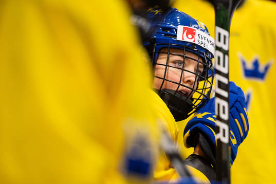 Bläddra bland fler bilder av Ishockey, Dam, Sverige, Träning