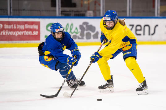Lisa Johansson och Felizia Wikner-Zienkiewicz