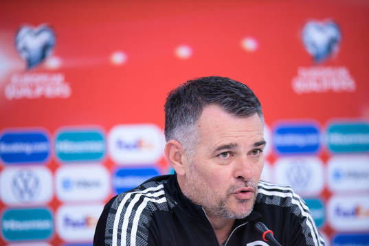Head coach Willy Sagnol of the Georgian national football